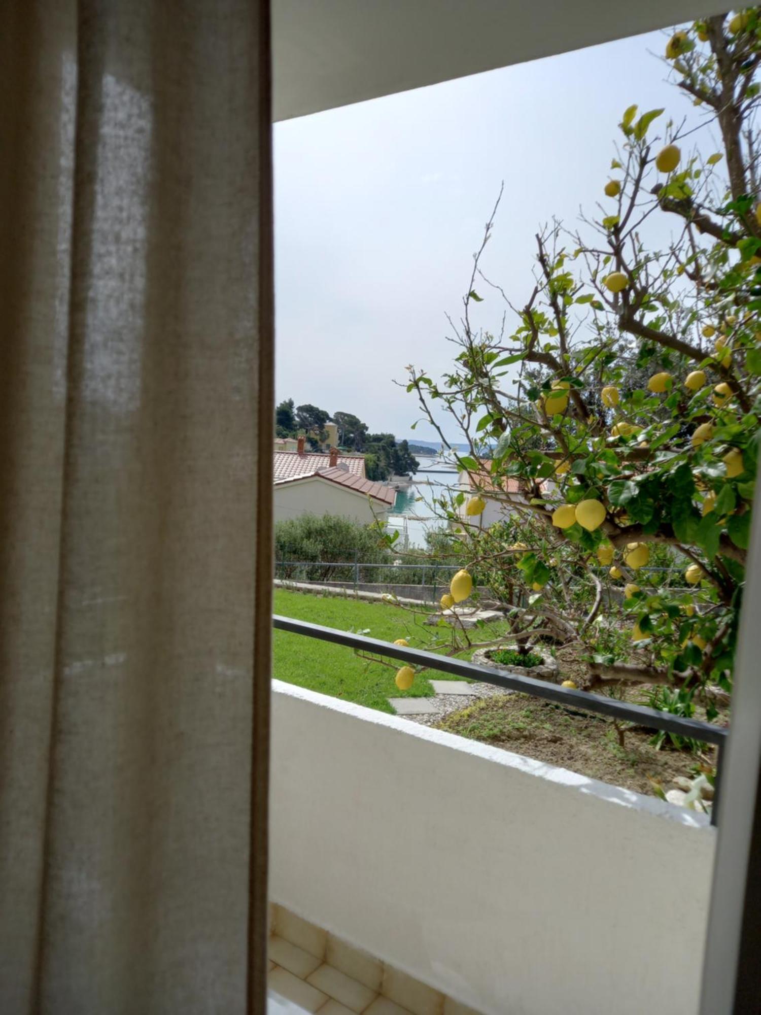 Sobe Ruza Apartment Banjol