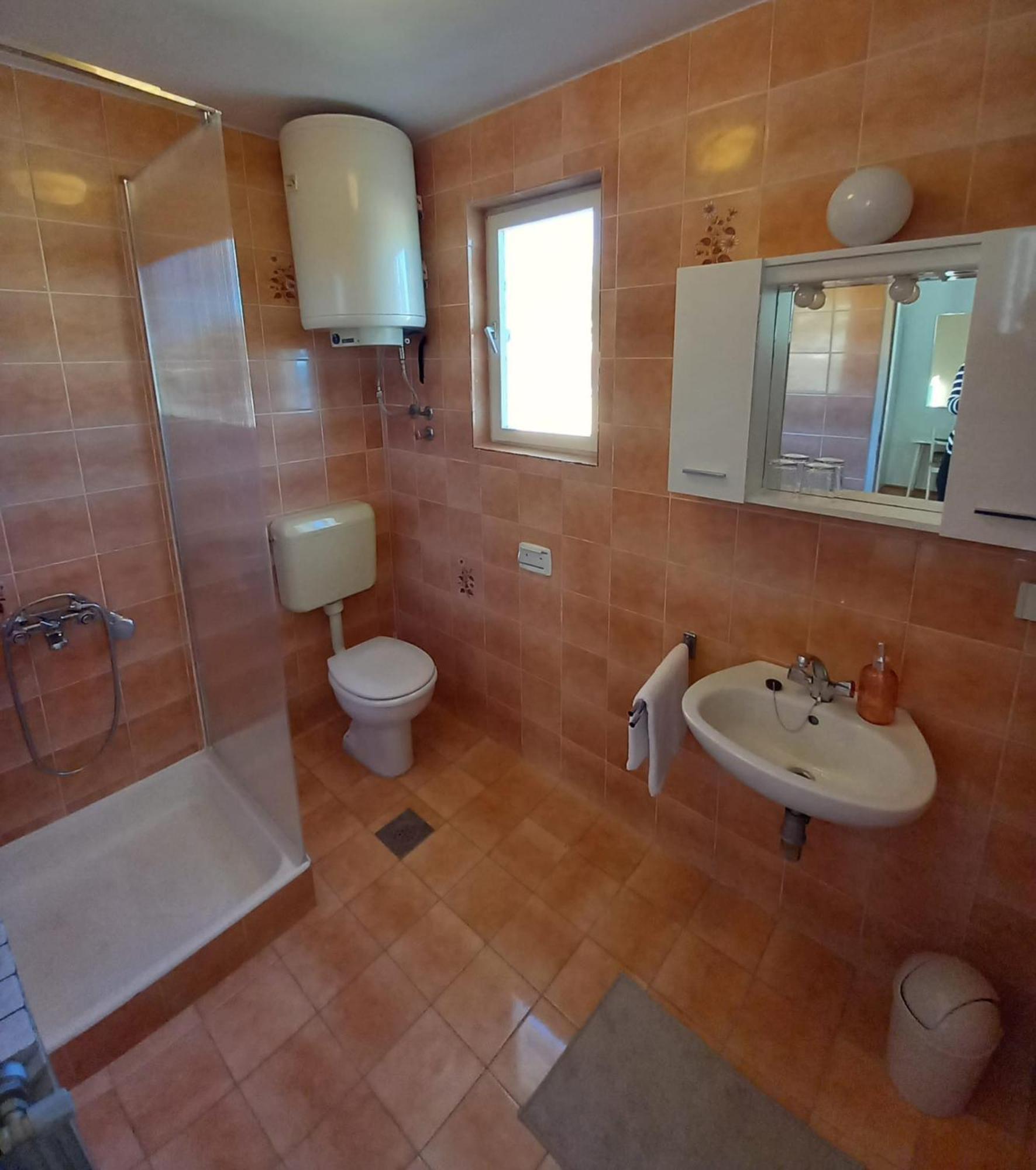 Apartment Sobe Ruza *