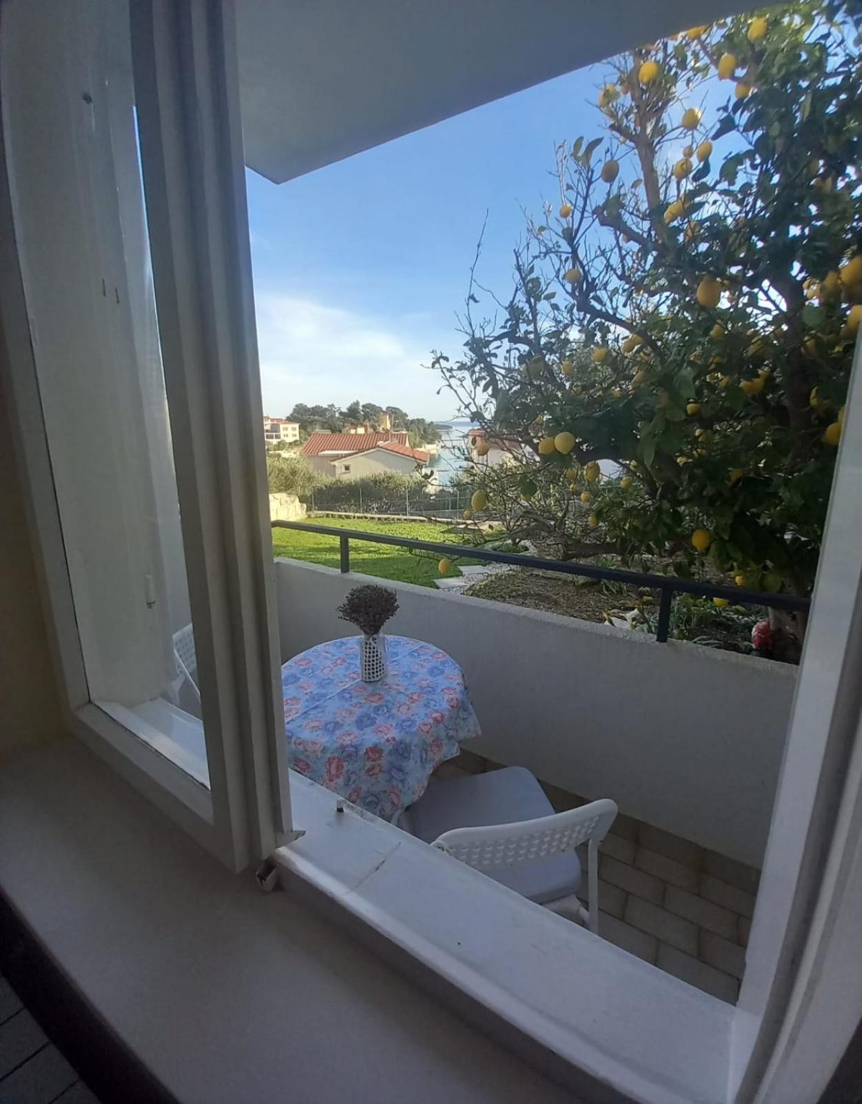 Sobe Ruza Apartment *
