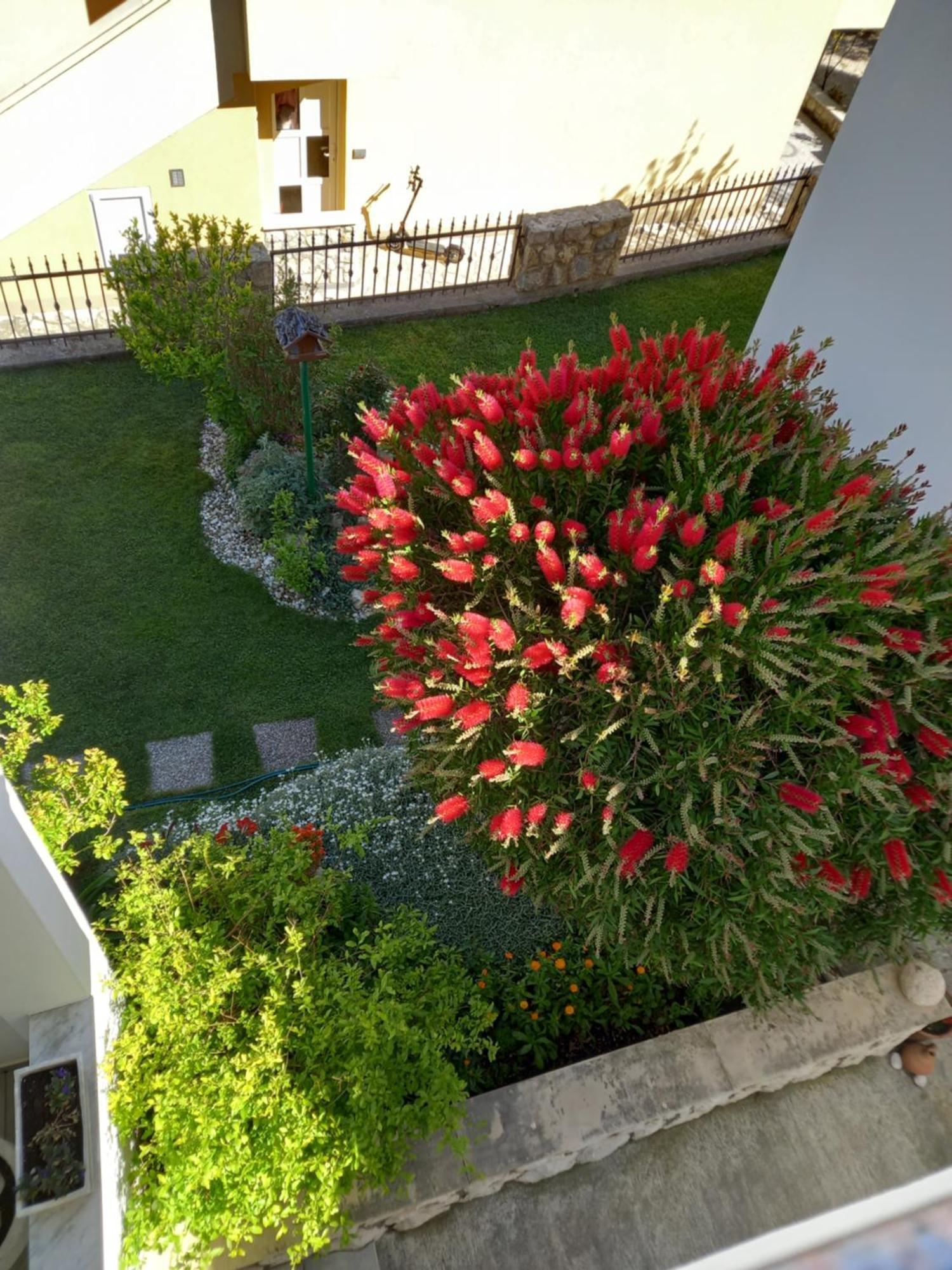 Apartment Sobe Ruza Banjol