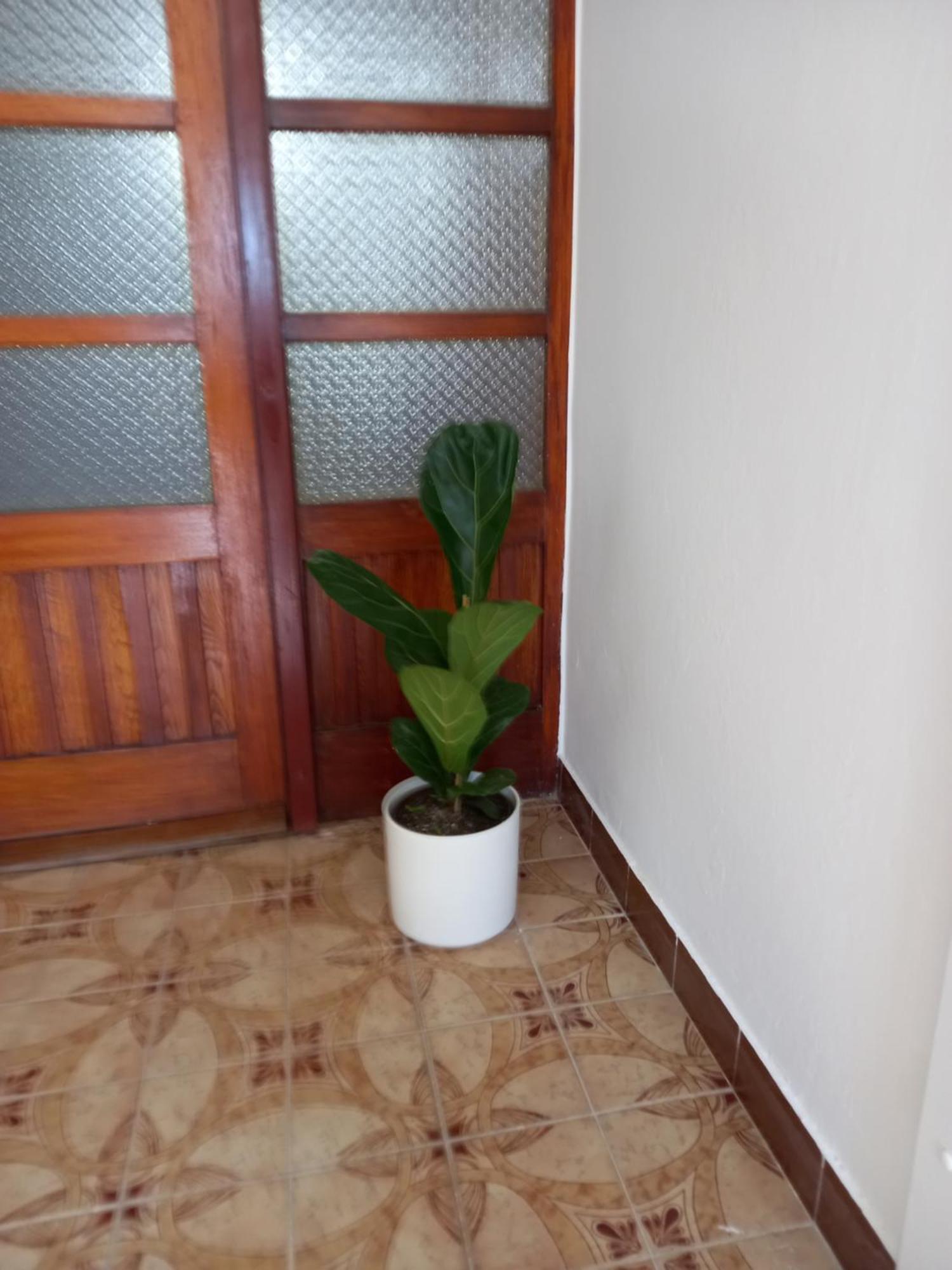 Sobe Ruza Apartment *