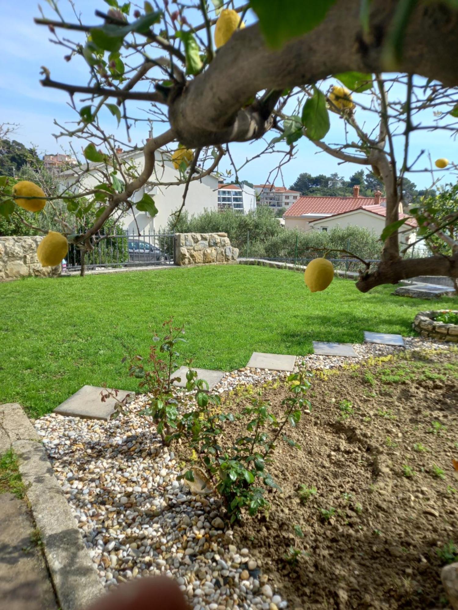 Sobe Ruza Apartament